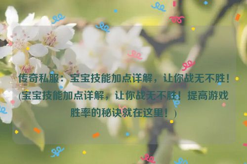 传奇私服：宝宝技能加点详解，让你战无不胜！(宝宝技能加点详解，让你战无不胜！提高游戏胜率的秘诀就在这里！)