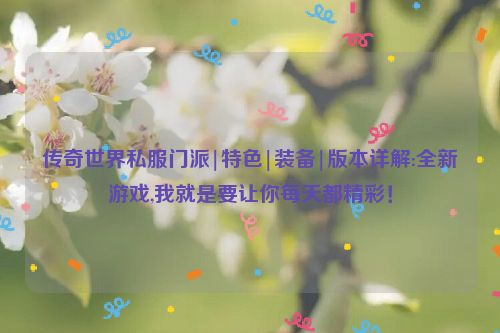 传奇世界私服门派|特色|装备|版本详解:全新游戏,我就是要让你每天都精彩！