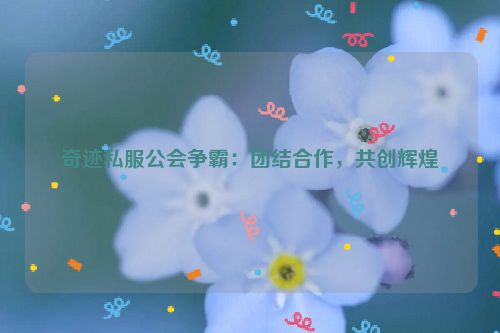 奇迹私服公会争霸：团结合作，共创辉煌