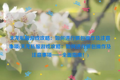 天龙私服游戏攻略：如何进行抓包操作及注意事项(天龙私服游戏攻略：如何进行抓包操作及注意事项——全面指南！)