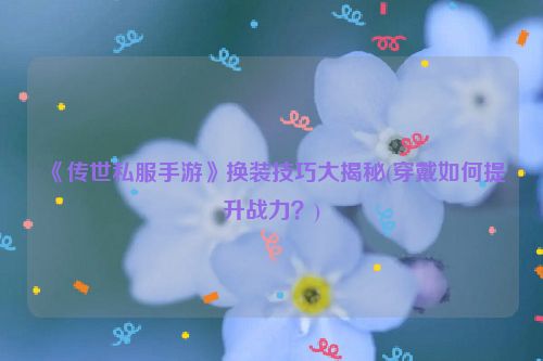 《传世私服手游》换装技巧大揭秘(穿戴如何提升战力？)