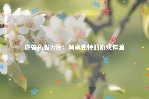 魔兽私服天启：畅享独特的游戏体验